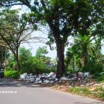 berita lingkungan hidup