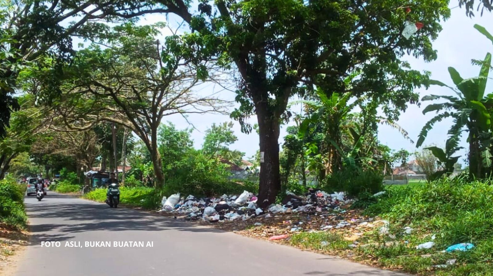 berita lingkungan hidup