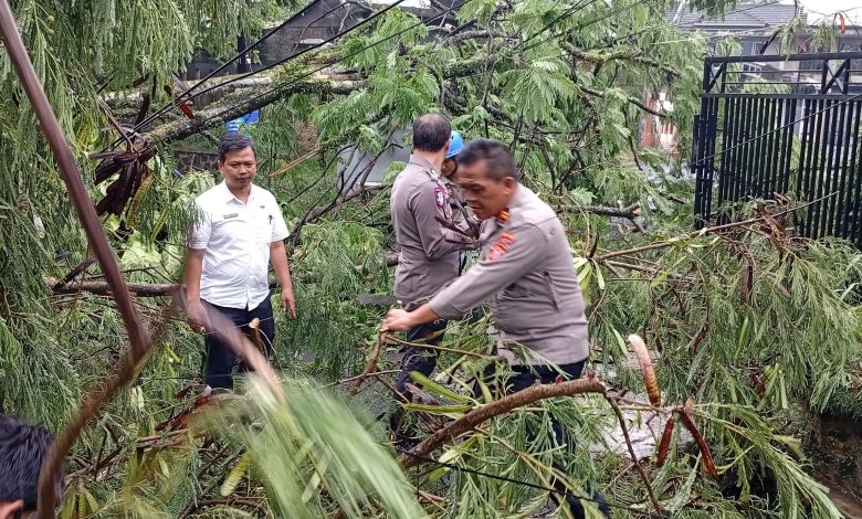 pohon tumbang di kota tasikmalaya