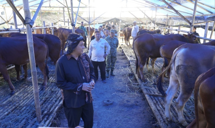 Stok Hewan Kurban Tasikmalaya Menyusut Hampir 50 Persen