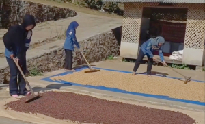 Kopi Bunar Tasikmalaya-astakona
