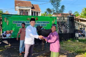 Polres Tasikmalaya Salurkan 11 Sapi dan 16 Domba di Iduladha 1447 H