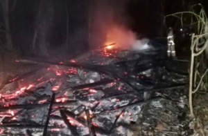 Kebakaran Kandang Ayam Ciamis, Damkar Cegah Api Meluas